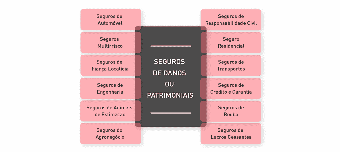 Dentro desta categoria se encontram os seguros que têm como finalidade principal reparar a perda que um segurado pode sofrer no seu patrimônio em consequência de um sinistro