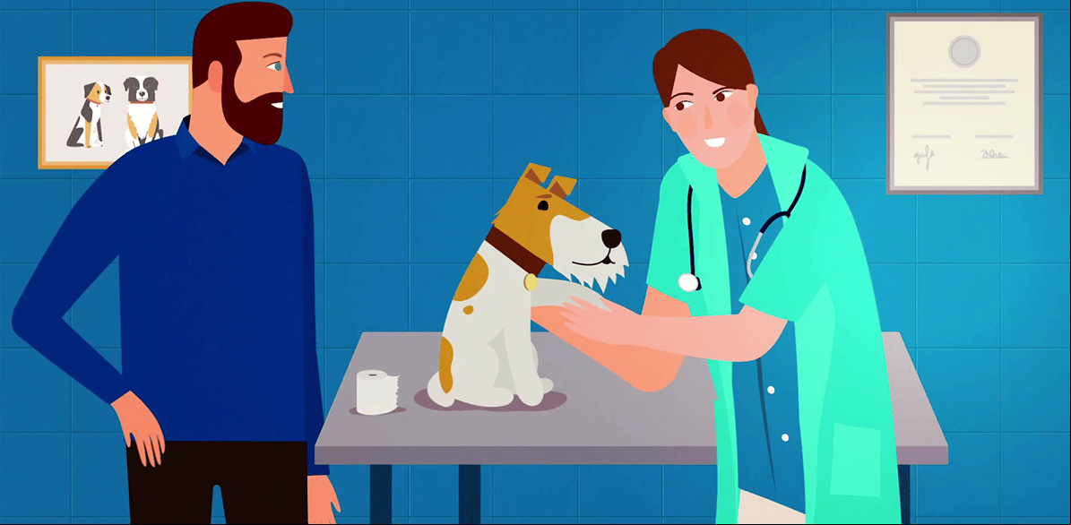 É o seguro destinado a cobrir os danos que os animais domésticos possam sofrer